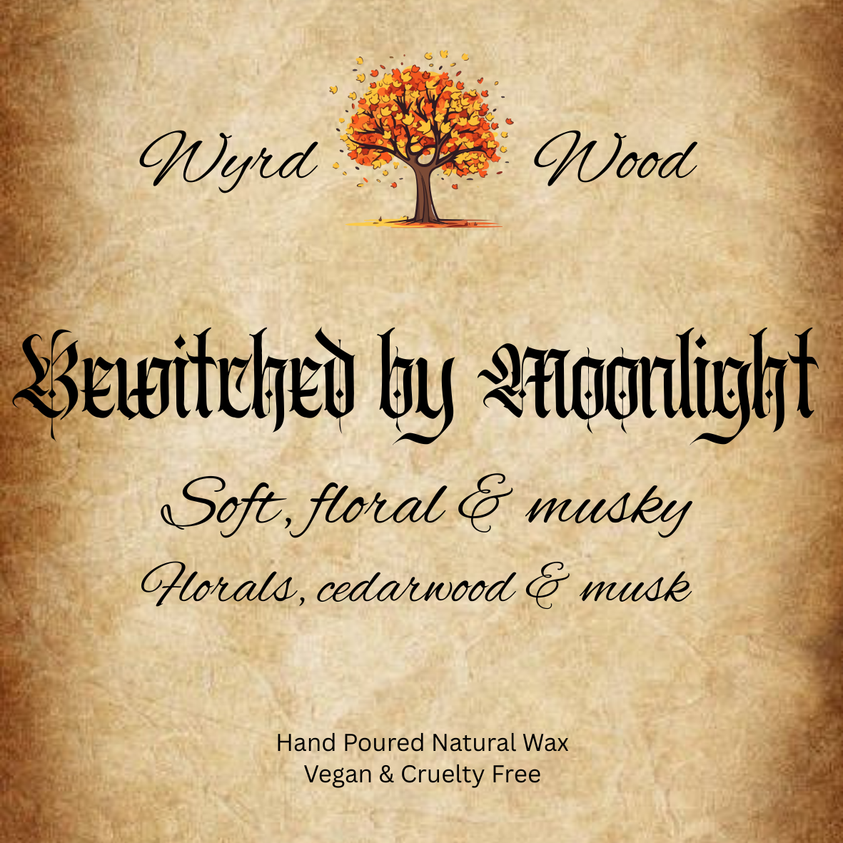 Bewitched by Moonlight